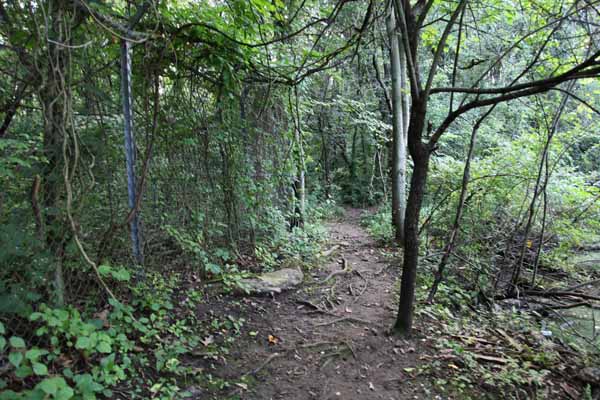 Along the out side of the rear fence of the cemetery is this creepy little path that was once used by picknickers and the like who use to fish in the pond. That's no longer possible any more, however as the pond is completely overgrown with algie. Mosquitos have made it a breeding ground.