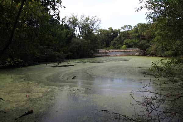 There are two legends associated with this stagnet pond. The first one, which is most likely an 'urban legend,' is that it was used as a dumping-off point for dead bodies of those who Al Capone had 'rubbed out' back in the prohibition era. The pond was never dragged for bodies so that can't be proven. The other legend is that of a farmer who was out plowing his field years ago, and the horse that was pulling the plow, for some mysterious reason ran into the pond, taking the plow and the farmer with him. On a night when there's full moon, some claim to see the ghostly apperition of that farmer riding the plow up out of the pond. This body of water really creaped me out, and I was there in broad daylight.